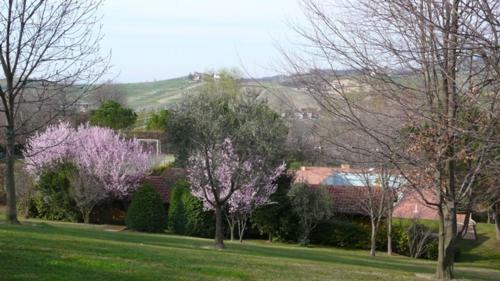 Villa Tenuta Contessa Chiara