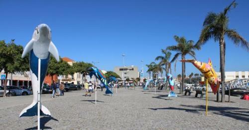 Apartamento Situado No Centro Hist�rico Da Cidade