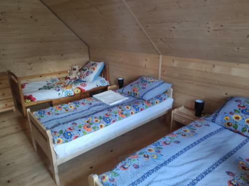 Bieszczady Apartament Orelec