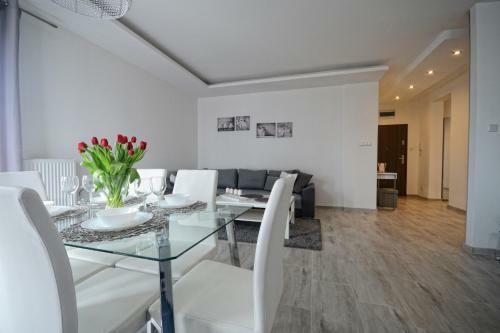 Apartament Nad Drw?c? I