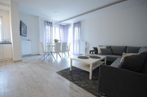 Apartament Nad Drw?c? I