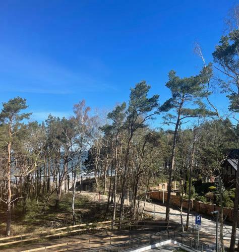 Lux Apartamenty - Pinea