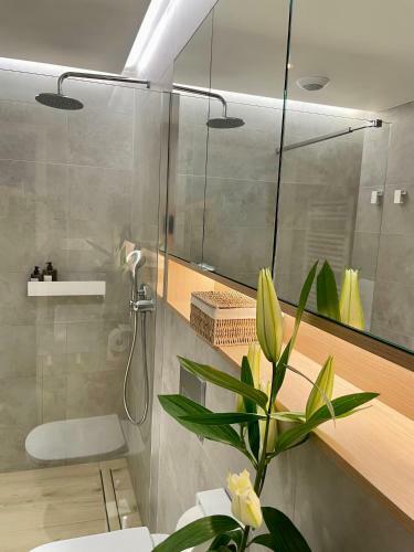Lux Apartamenty - Pinea