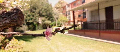 Apartamento 70 Metres From The Sea, Comfortable, Practical