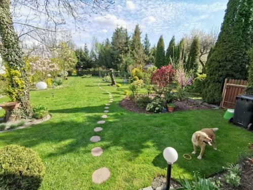 Villa Kwiatowe Zacisze