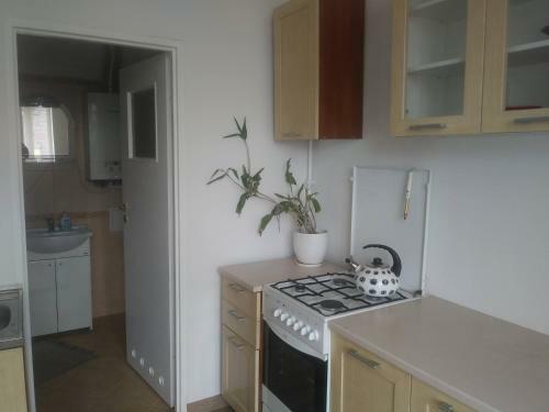 Apartamento Smolki 22/10