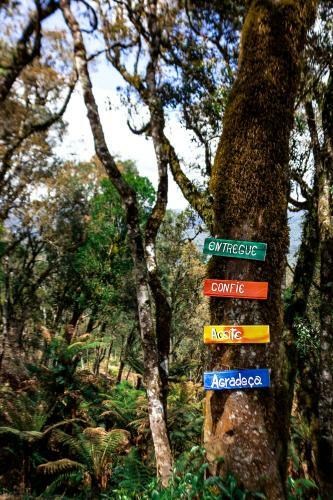 Hostal Pousada Refugio Quinta Dos Pinhais