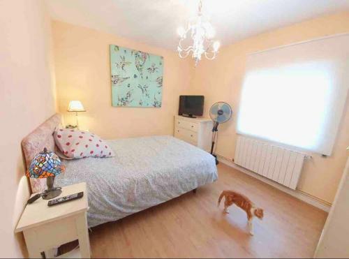 Villa Maravilla