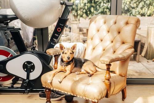 Wood House - Pet Friendly