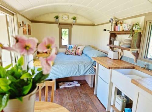 Pen Bryn Shepherd Hut