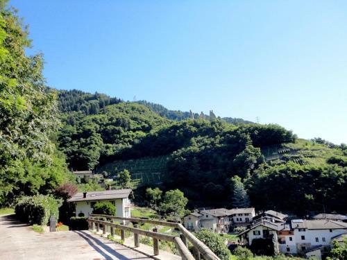 Apartment Del Grillo Selva Di Levico