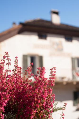 Angerburg Blumenhotel