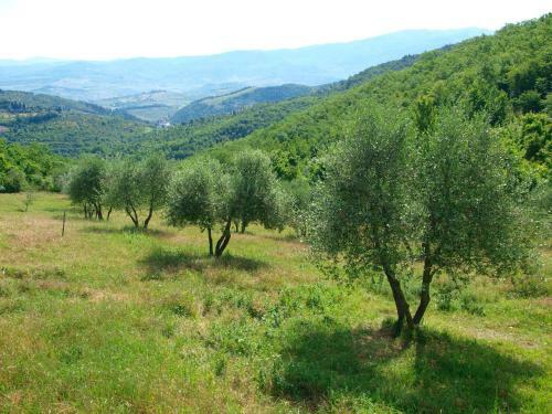 Agroturismo Casignano