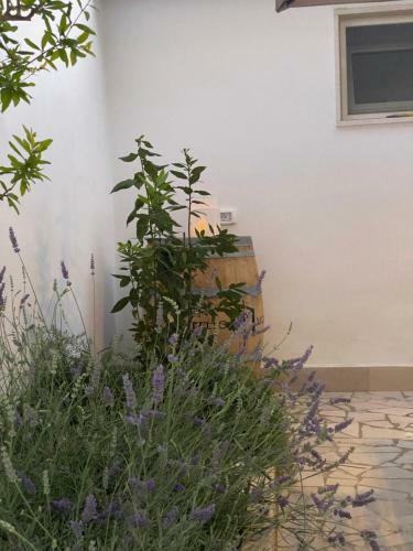 Apartamento C'era UNA Volta A Stella