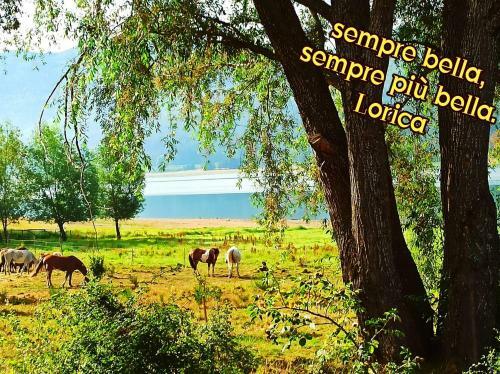 Apartamento Sila Residence Lorica
