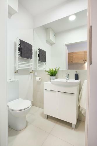 Albergue Student Depot Funky