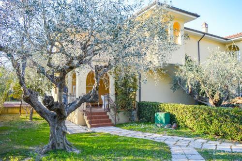 Apartamento Villino Saranda - Cerrano Services