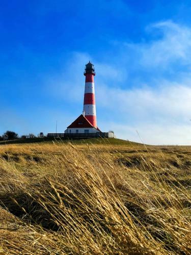 Apartamento Ferienwohnung ?deichgefl�ster? Nahe Der Nordsee