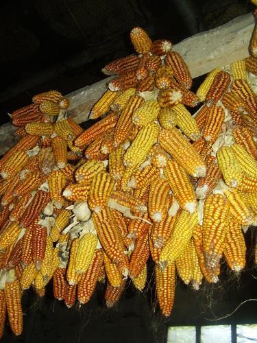 Angoiko Etxea