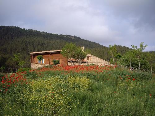 Hostal Mas De Borr�s