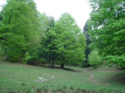 Hotel Rural Besaro