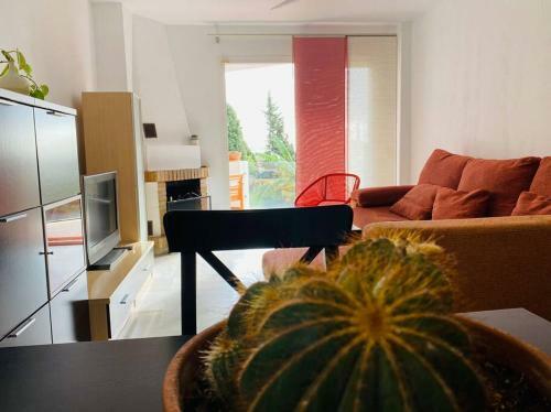Apartamento Lagomar
