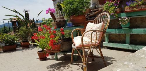 Apartamento Palazzo Aloigi Luzzi