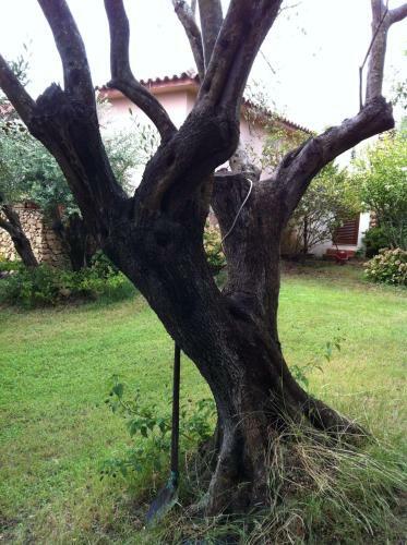 Villa Antares