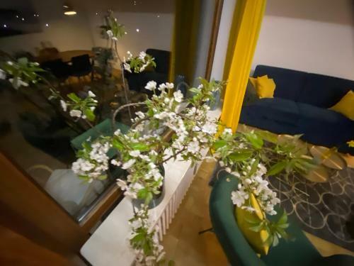 Apartamento Ferienwohnung Panoramablick - Alpenmagie Suites