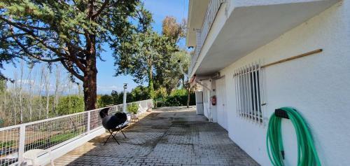 Finca Mentrida