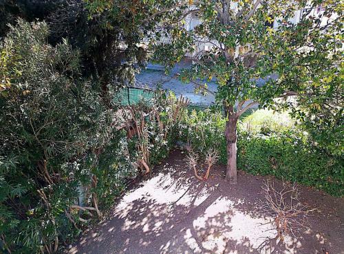 Apartamento Terrazza Sul Mare Vasto