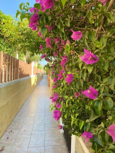 Apartamento Villasimius Comfort House