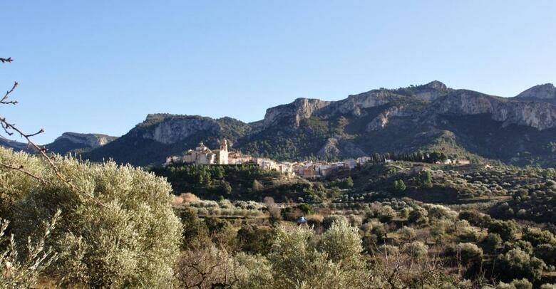 Camping Alberg Tivissa