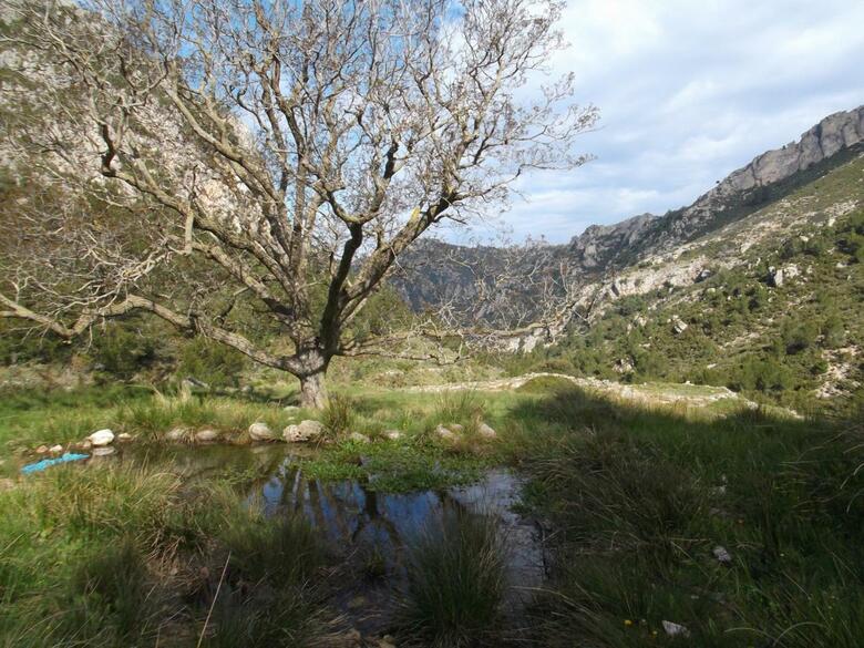 Camping Alberg Tivissa