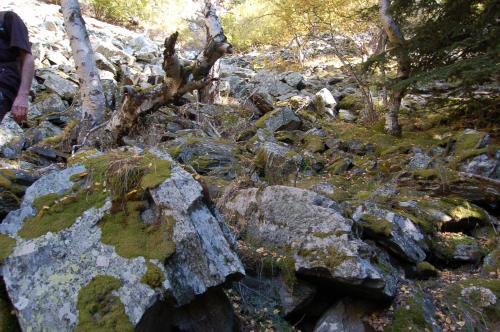 Apartaments Vall Ferrera