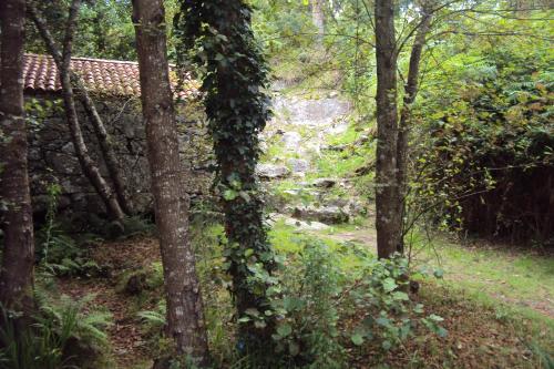 Hostal Casa Fuentes