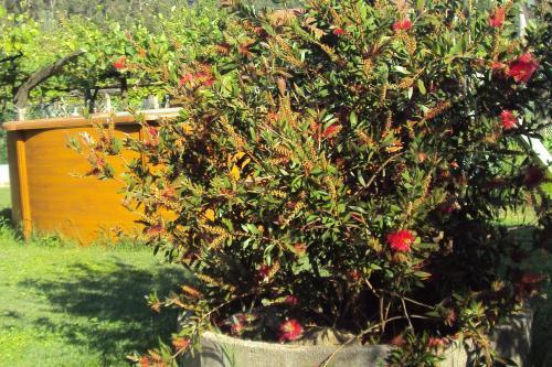 Hostal Casa Fuentes