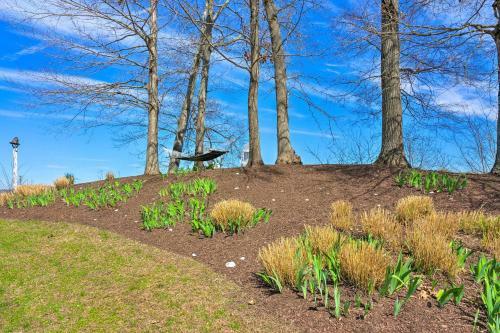 Spacious Chester Home With Yard On James River!