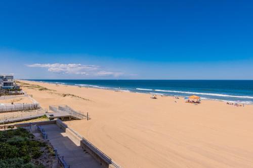 The Sanctuary - Vitamin Sea A206