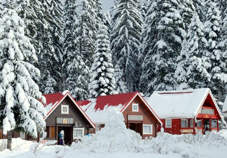 Villa Ski Chalet Borovets