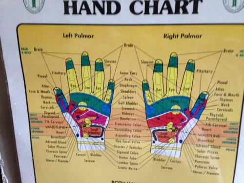 Estuary House Reflexology B&B