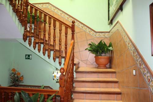 Apartamentos Haza La Moraleda