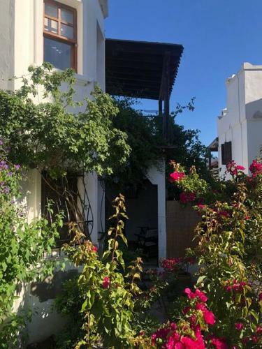 Turkbuku Karaca Home