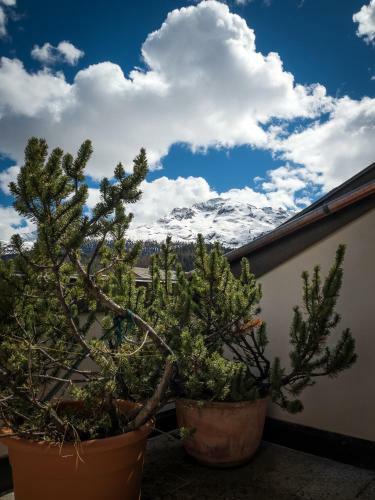 Apartamento Chesa Pradash 2 - Celerina
