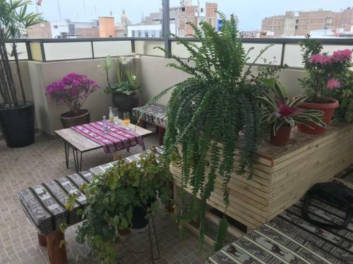 Tamaris Hotel