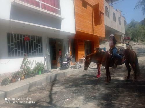 Hostal Misky