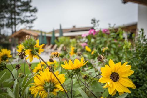 Bed & Breakfast Alpenpension Claudia