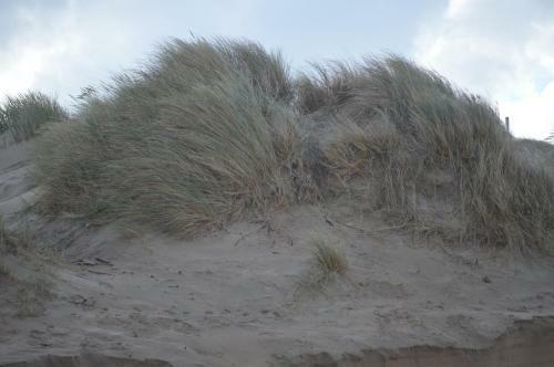Huisjes Aan Zee