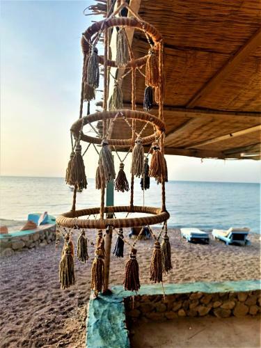 Sahara Beach Camp Nuwaiba