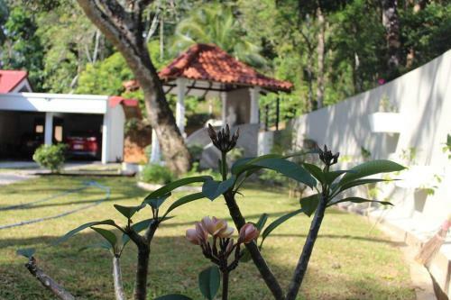 Heaven Villa